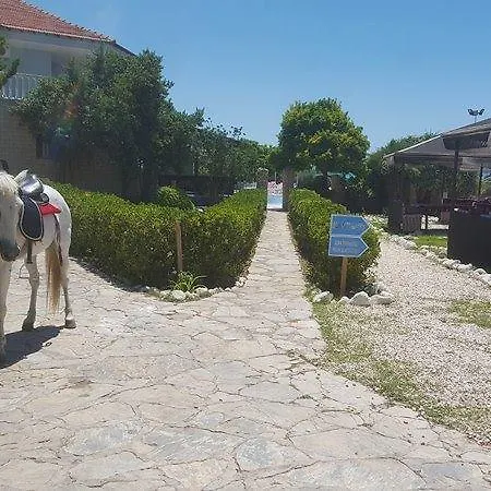 Parco vacanze Dream Ayasaranda